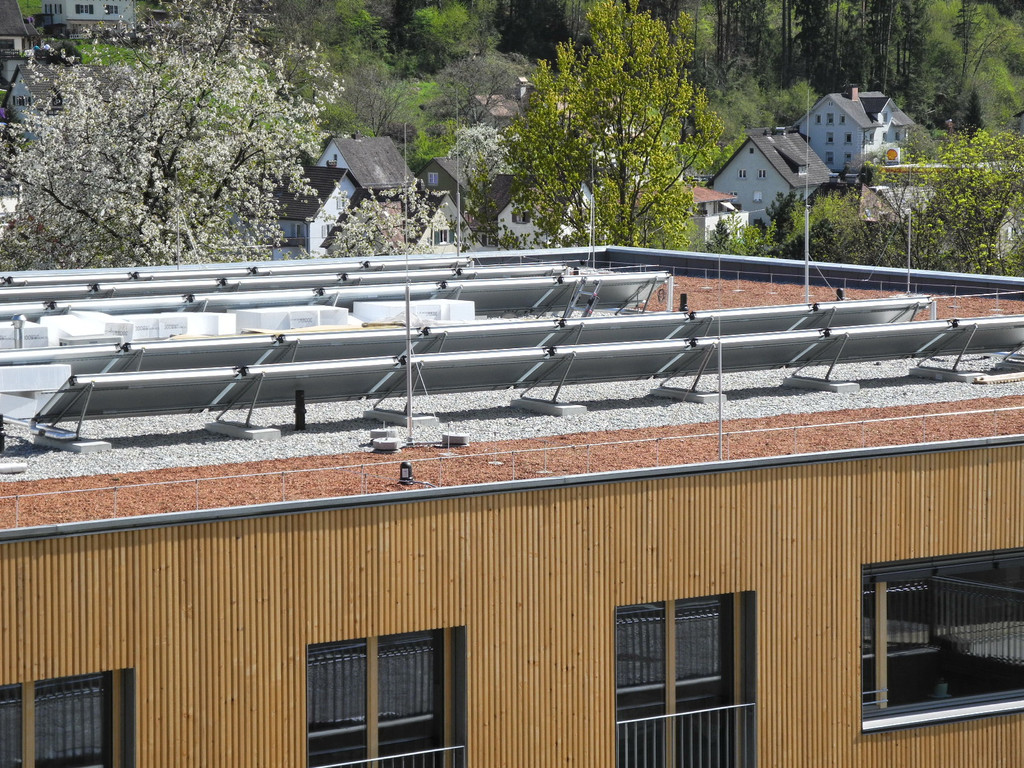 DSCN2955_JPG-1335765343