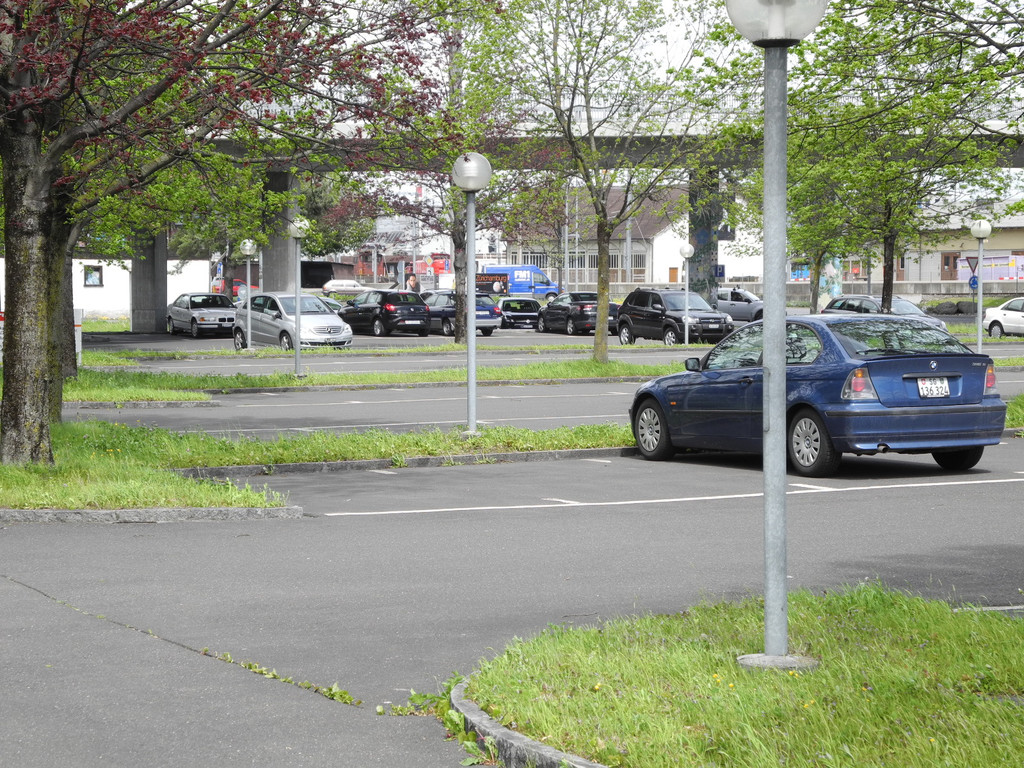 DSCN3203_JPG-1335766953