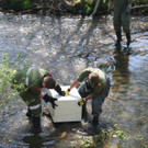 Feuerwehr fischt Tresore aus der Pinka am 29.4.2012