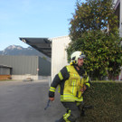 IMG_4933_JPG-1335771269