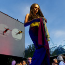 Vertical_Show_2012_HKR6743.jpg