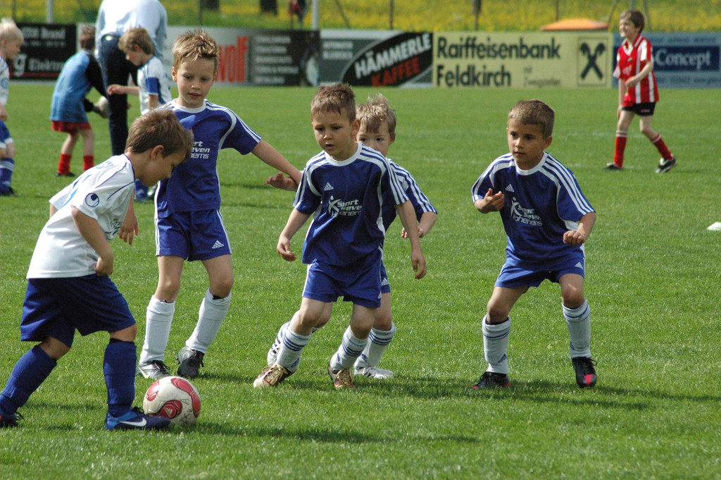 DSC_2961_JPG-1335792000