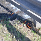 Flurbrand bei Natschbach