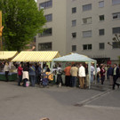 gamlitz_bregenz01_jpg-1335806405