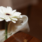 Kommunion_06_jpg-1335852988