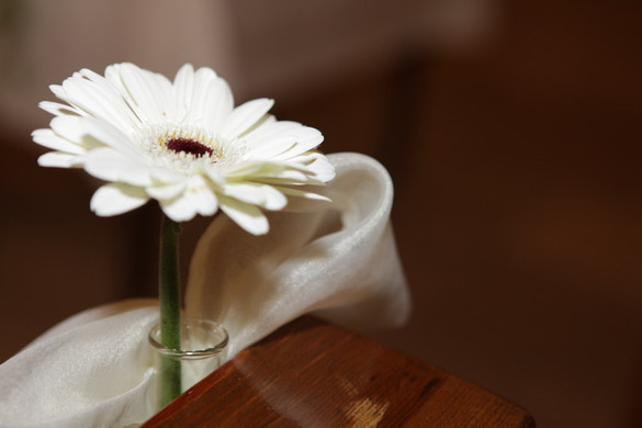 Kommunion_06_jpg-1335852988