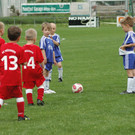 DSC_2986_JPG-1335876386
