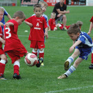 DSC_2998_JPG-1335876455
