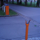 031.jpg