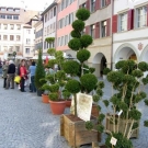 sm_gemeinde_ostermarkt13.JPG