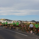 30042012maibaumsetzengschwandtat_02_001aktivnews__9_.JPG