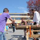 Maibaum H__chst 01_05_2012 57_jpg-1335897239