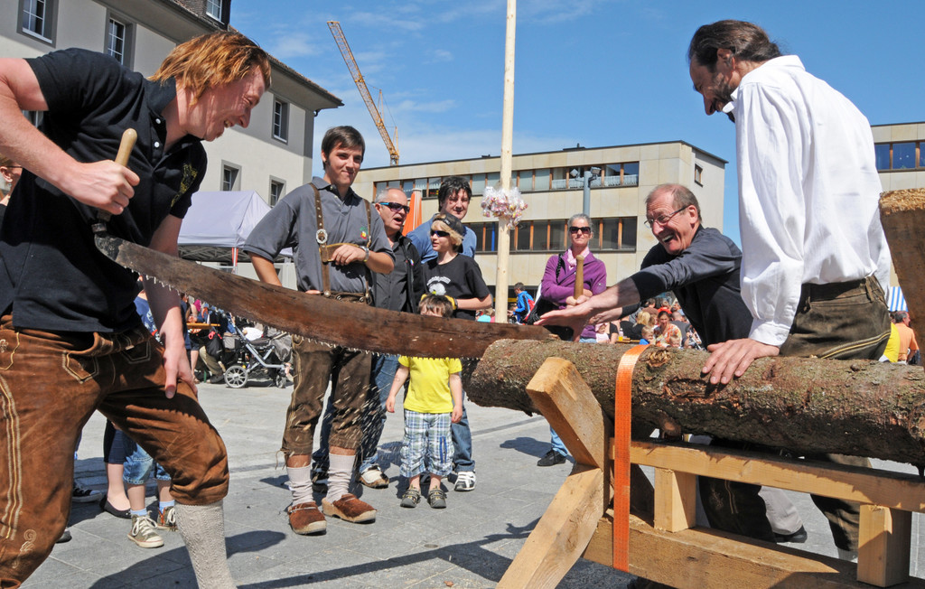 Maibaum H__chst 01_05_2012 64_jpg-1335897278