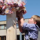 Maibaum H__chst 01_05_2012 199_jpg-1335897720