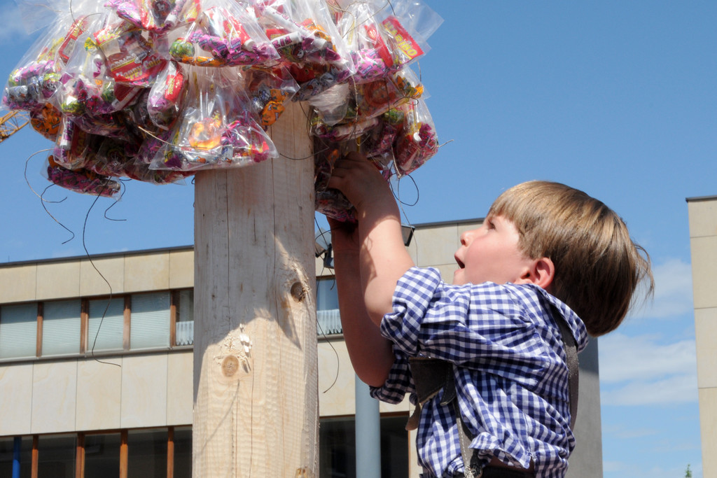 Maibaum H__chst 01_05_2012 199_jpg-1335897720