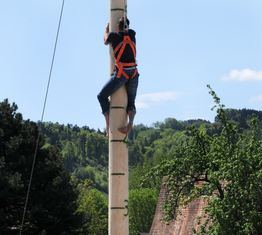 Maibaum H__chst 01_05_2012 223_jpg-1335897758