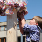 Maibaum H__chst 01_05_2012 199_jpg-1335898763.jpg