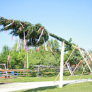 IMG_7277.jpg