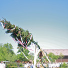 IMG_7289.jpg
