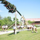 IMG_7297.jpg