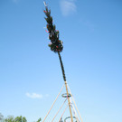 IMG_7312.jpg