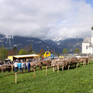 IMG_9247_JPG-1335962530.jpg