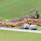 Reuthe 04_04_2012 72_jpg-1335963830