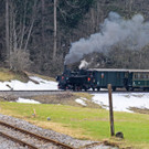 Reuthe 04_04_2012 5b_jpg-1335963853