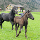 Fam_ Muxel 25_04_2012 16_jpg-1335965009