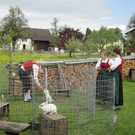 DSC05972.JPG