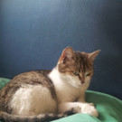 2012-05-02 18_00_11_jpg-1335981990