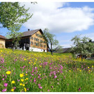 Frühling in Schwarzenberg