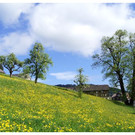 FR__HLING  _2__JPG-1336024674