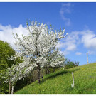 FR__HLING  _30__JPG-1336024746