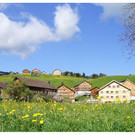 FR__HLING  _33__JPG-1336024753