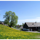 FR__HLING  _52__JPG-1336024806