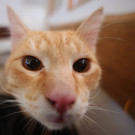 ABD0038-20120503.jpg