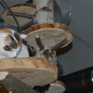 DSC_0604.JPG