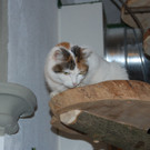 DSC_0606.JPG