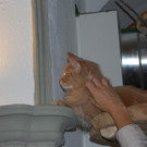 DSC_0633.JPG