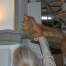 DSC_0634.JPG