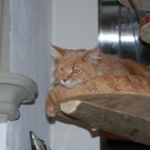 DSC_0637.JPG