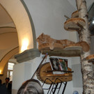 DSC_0641.JPG