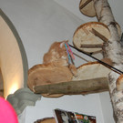 DSC_0647.JPG