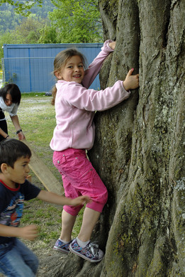 Spatenstichfeier Bludenz - 096 - Copyright by Gerhard Scopoli.jpg