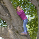 Spatenstichfeier Bludenz - 154 - Copyright by Gerhard Scopoli.jpg