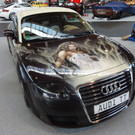 DSC04206.JPG