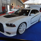 DSC04226.JPG