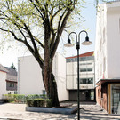 Bild3.jpg
