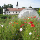 Die besten Bilder vom Schaugarten
